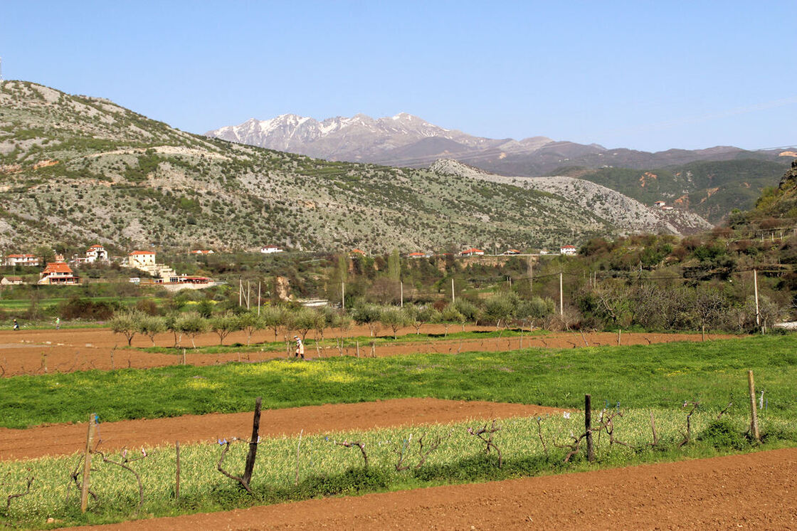 Pogled iz naselja Boks (na desnoj obali rijeke Kir) na brdo Drishta i na najviše vrhove masiva Cukali (na horizontu)