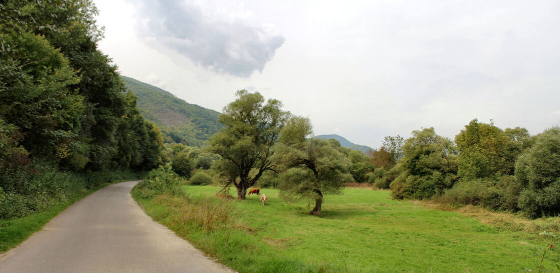 Krajolik između Drvara i Bastasa, u podnožju visoravni Kamenice