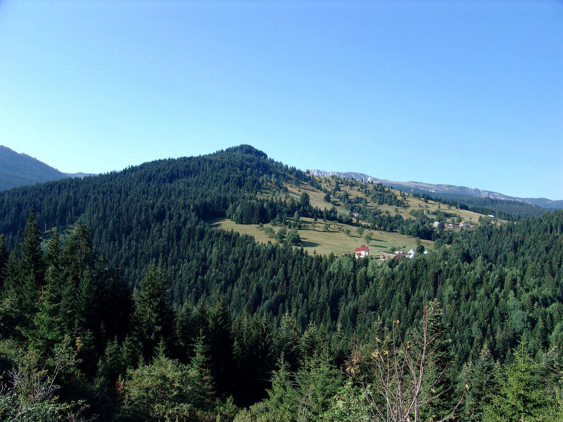 Donji Bukelj na padinama Muratovog vrha (1562 m)