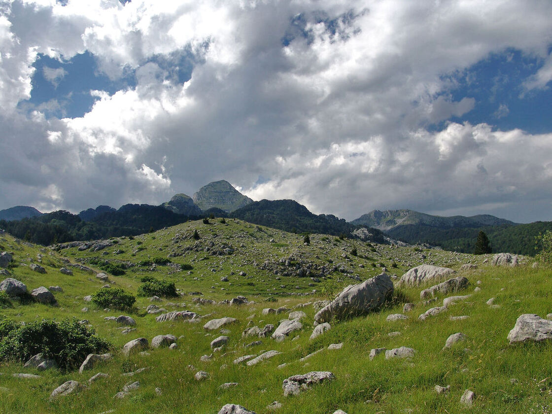 Horizontom dominira vrh Osobac (lijevo), kojega su stanari stanova na Crnom polju nazivali Samograd. Desno od Osopca je greben Zubaca koji se dalje desno nastavlja u  Borašnicu.