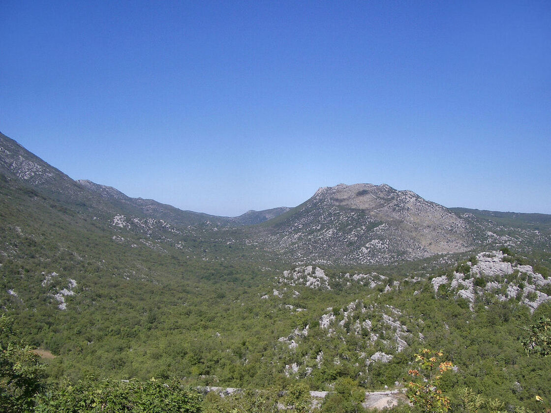  Pogled na Rogove iz smjera istoka, s ceste Hutovo - Cerovica