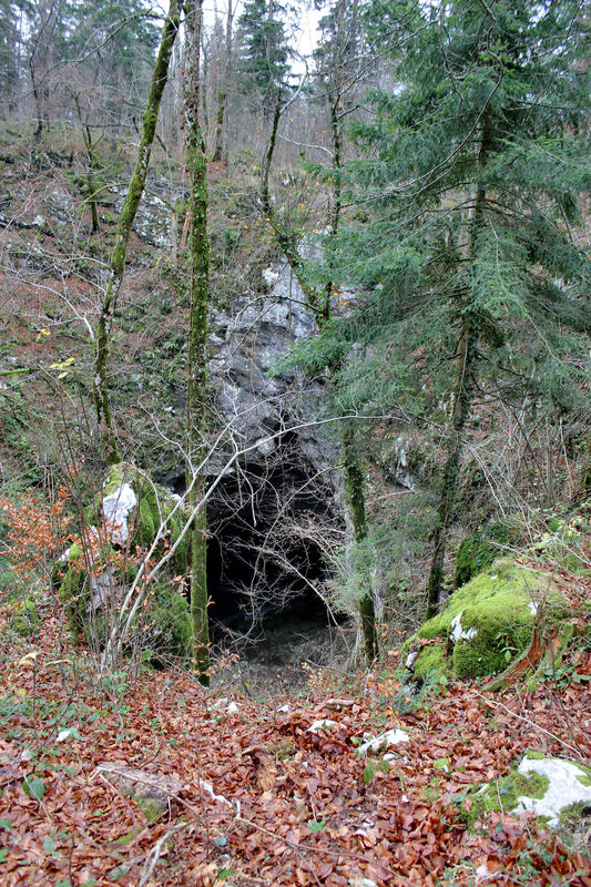 Pogled sa staze na vrtaču na čijem se dnu nalazi špiljski otvor Zelških jama