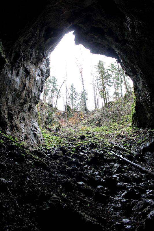 Pogled iz Zelških jama na okolni prostor