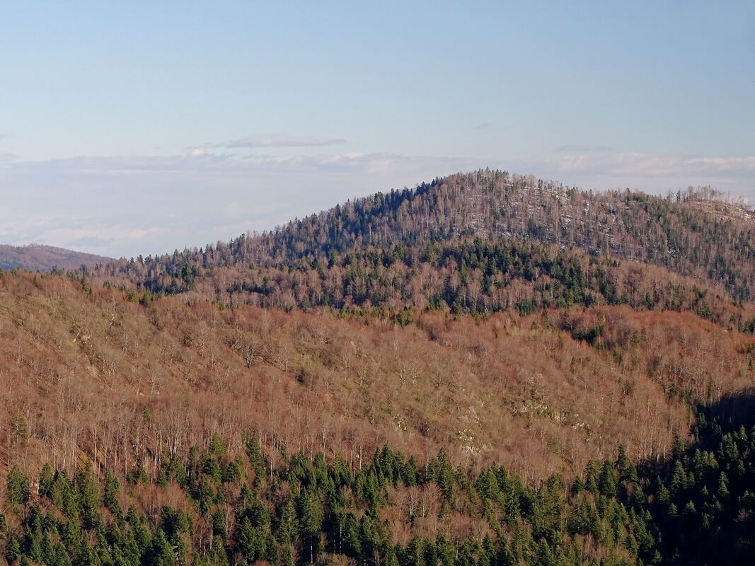 Pogled s Kicljeva vrha na Lužački vrh