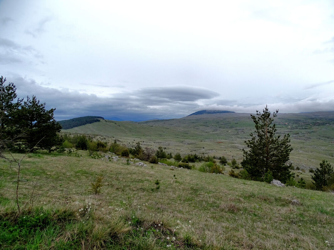 Brdo Borovnjača i livade Pitomina iznad Rora i u daljini (djelomično pod oblakom) Crni vrh (Crni vrh, kod Crnog Vrha; 1395 m)