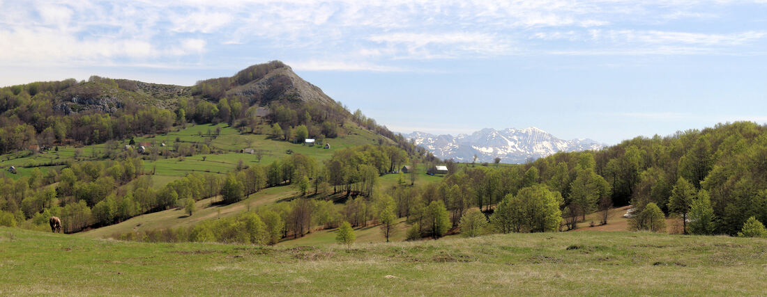 Pogled s platoa Muratovica na dijelove naselja Smriječno. U pozadini lijevo je vrh Razvršje (1508 m), a na horizontu se naziru grebeni Durmitora.