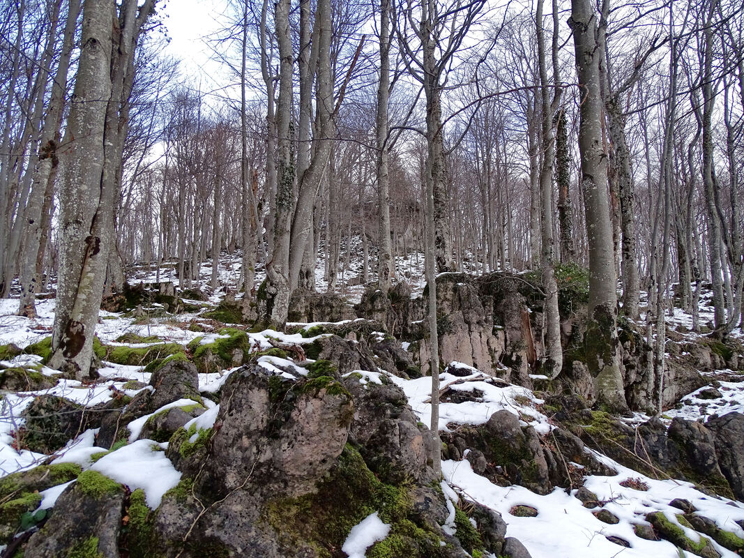 Pri spuštanju od planinarskog skloništa na Stošcu, s lijeve strane izdiže se južni vrhunac Stošca s brojnim naslagama vodoravnih kamenih blokova.