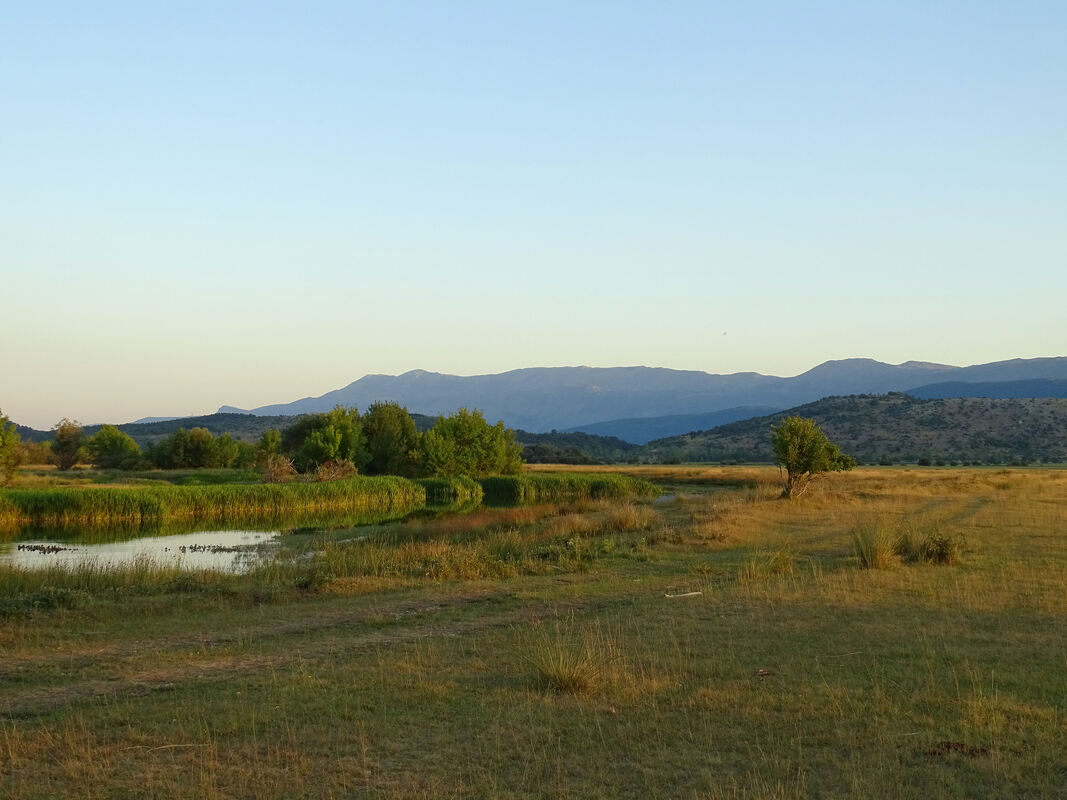 Pogled na Svilaju iz Cetinskog polja