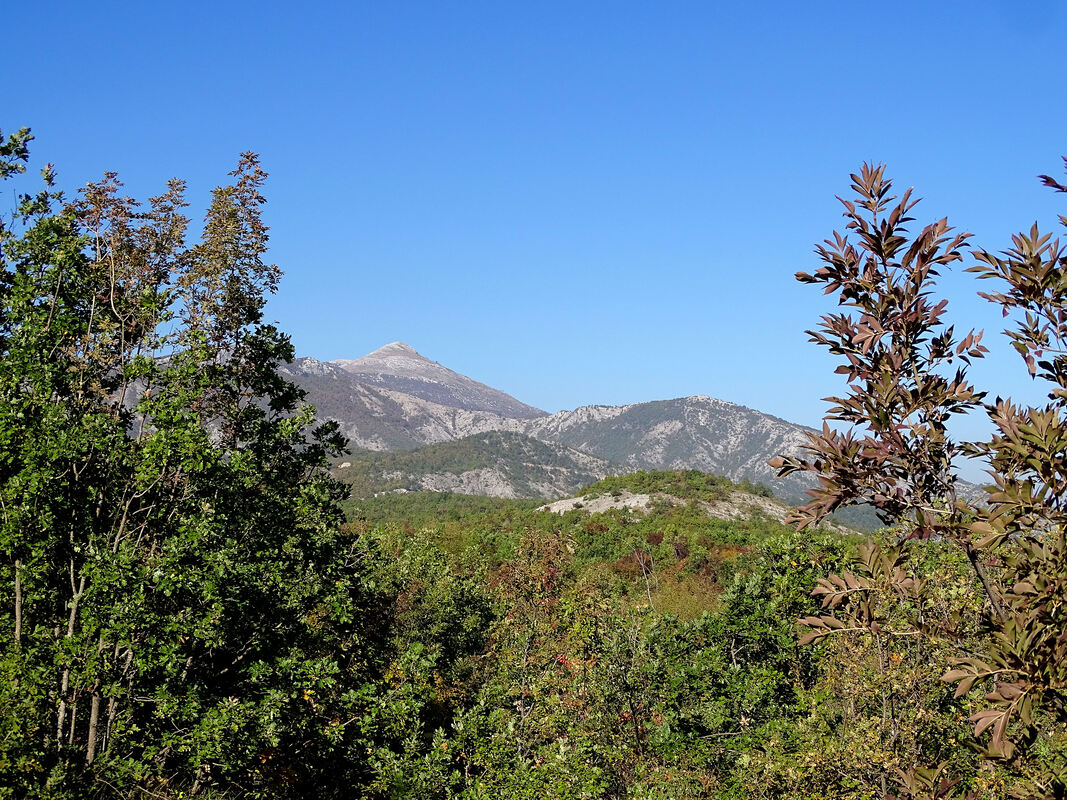 Pogled prema vrhu Svilaje od ceste Hrvace-Zelovo