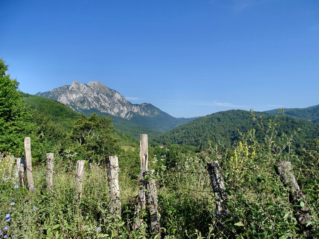 Pogled na Treskavac od Mrkalja u podnožju Maglića