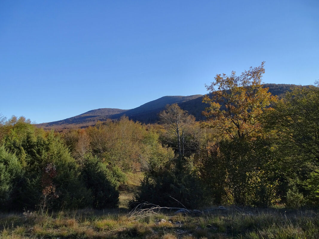 Pogled na greben Tremzine iz smjera sjevera (Malovan-Vučipolje)