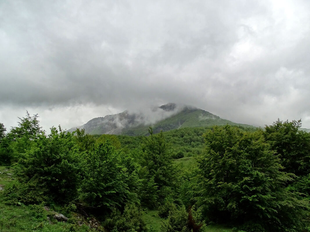 Pogled iz doline Vrmoše prema području Alibegova škala