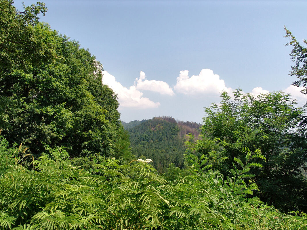 Krajolik Crnog vrha uz cestu koja povezuje Tešanj sa Žepčem.