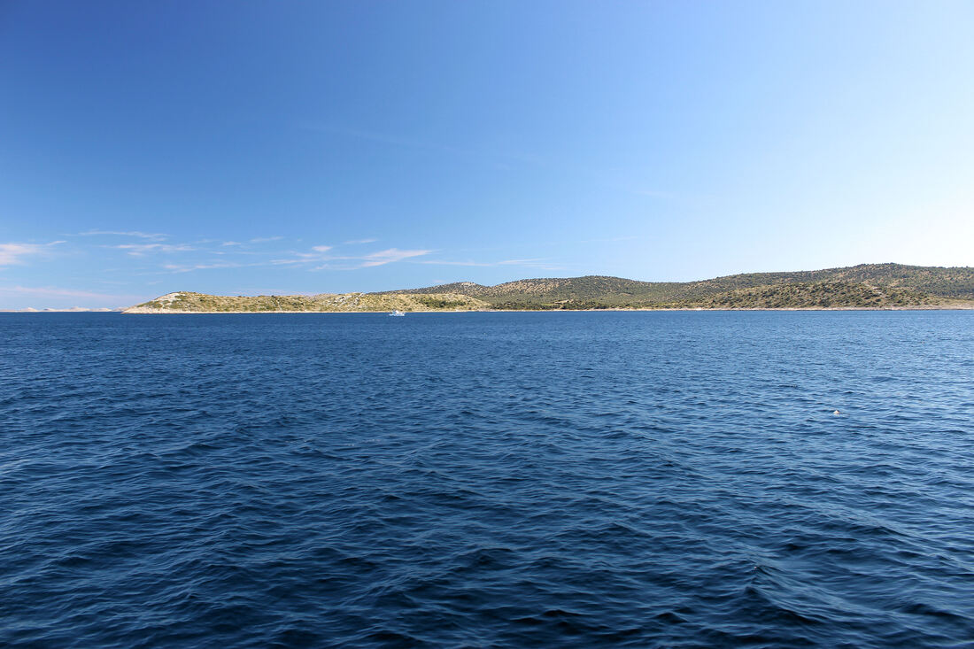 Otok Žut