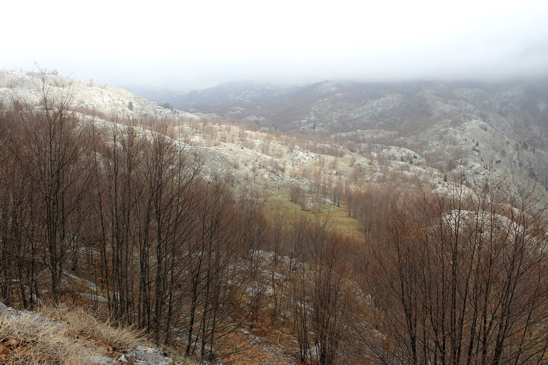 Gropa e Karrikave na vapnenačkoj pregradi između grebena Velječika i Puljtinza