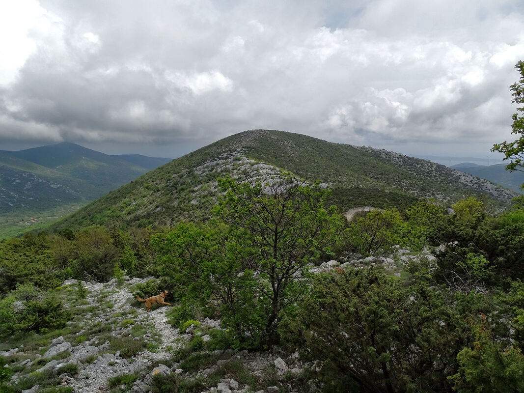 Sirištak (705 m)