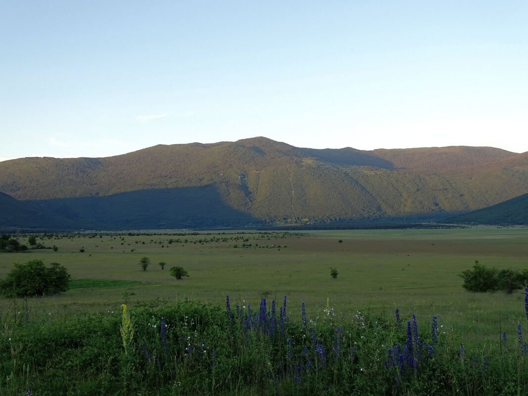 Pogled na greben Plješivice iz Bijelog polja, koje se nalazi u JI nastavku Koreničkog poljaPicture