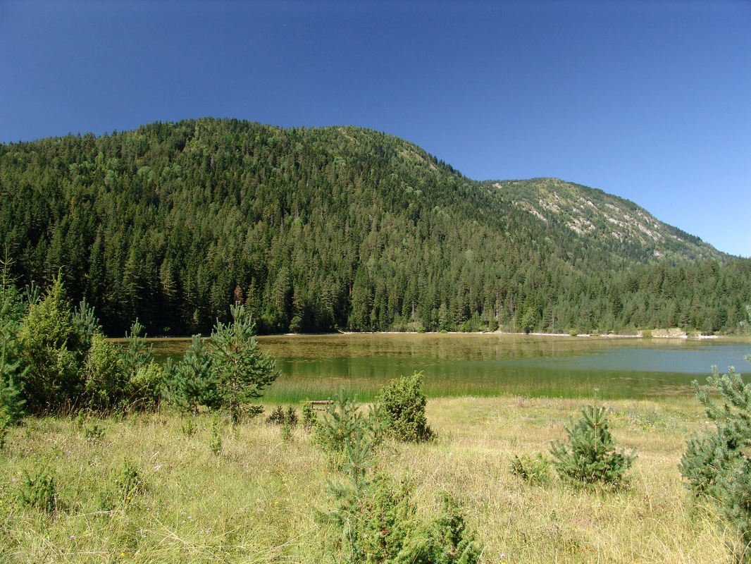 Zminičko jezero pod Kučajevicom