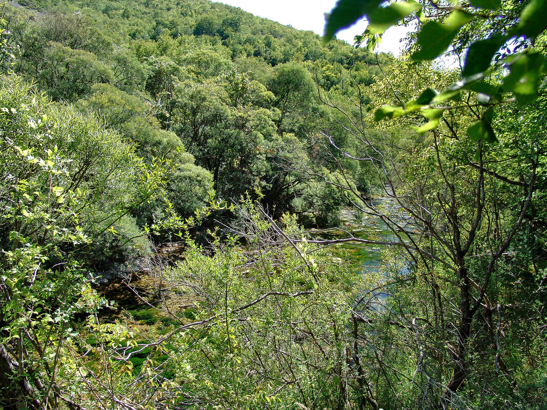 Rijeka Zrmanja na izvorišnom područjue